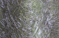 Free Town fibreglass roof work